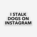I Stalk Dogs On Instagram sticker