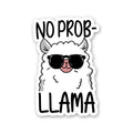 No Problem Bumper Sticker