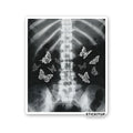 YOU GIVE ME BUTTERFLIES Sticker